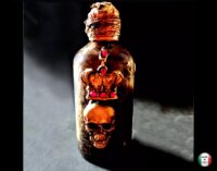 Apothecary Cabinet, Magic Potion Witchcraft Starter Kit Ritual, Decor Witch Altar Vintage Poison Bottle