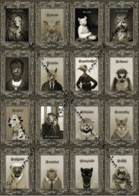 Animal Human Tarot Cards Deck, Rare Oracle Limited Edition, Spirits Guide Divination Cards, Vintage Antique Cartomancy