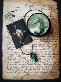 Hippo Campus Amulet, Ancient Spirit Companion, Uncut Gemstone Pendant Hippocampus, Spiritual Magical Powers Portal