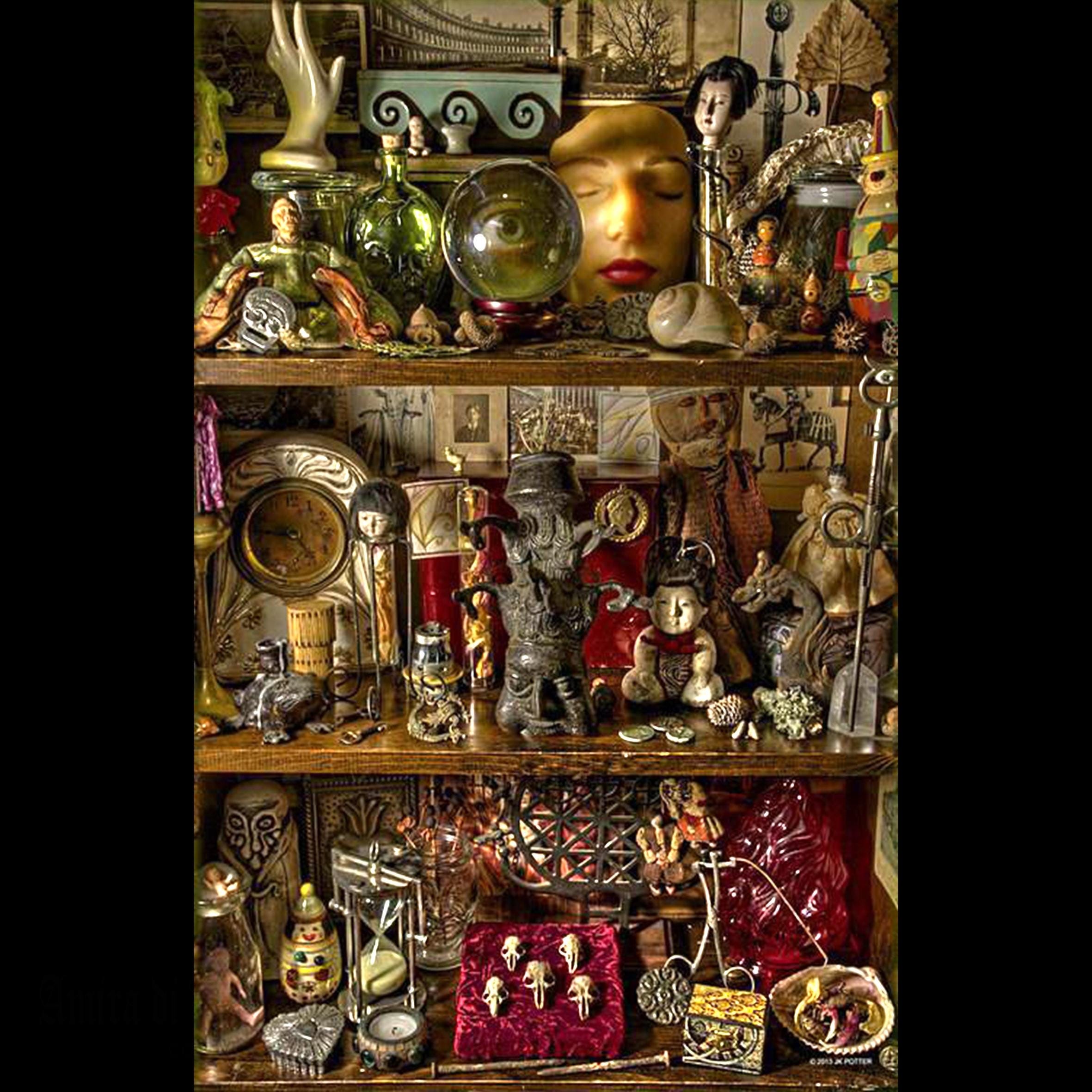 Magic Box Divination, Hocus Pocus Surprise Gift, Witch Altar Curio Cabinet, Oddities and Curiosities