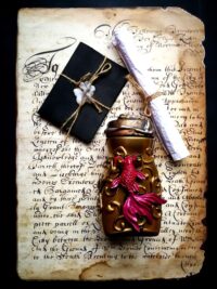Witchy Decor, Gillyweed Magic Potion, Natural Herbology Bottle Apothecary Cabinet, Magical Fish Spell Jar