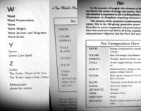Old Witchcraft, Spell Book Salem Massachusetts, Antique Book Esotericism Occult Ashes, Sabbath Ritual Wicca Witch