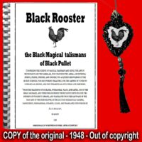 Black Rooster, Magic Talisman Bird Amulet, Witchcraft Vitriol Symbol Pendant, Gothic Occult Esoteric Jewelry