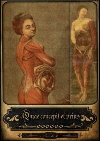 Tarot Medici, Oracle Card Deck Old Medicine, Vintage Anatomy Antique Surgery Maps, Human Body Brain Medical Head Photo