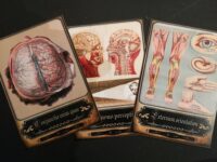 Tarot Medicine, Oracle Card Deck, Old Medical Vintage Anatomy Antique Surgery, Apothecary Witchcraft Coven
