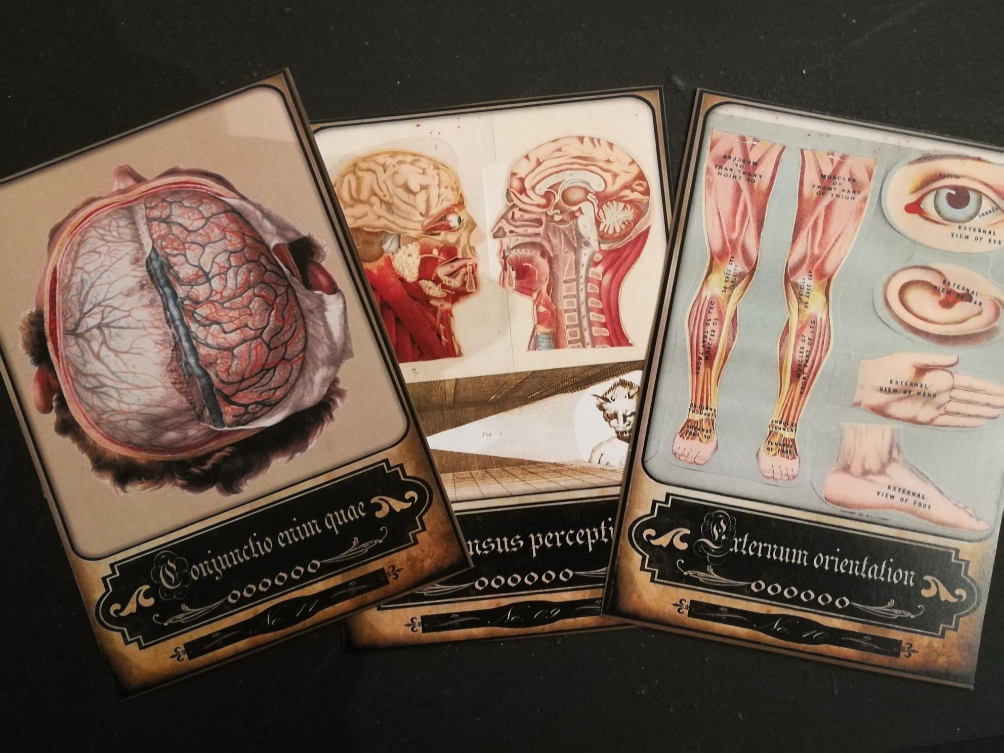 Tarot Medicine, Oracle Card Deck, Old Medical Vintage Anatomy Antique Surgery, Apothecary Witchcraft Coven