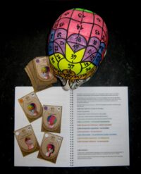 Phrenology Head, Reading Mind Map Tarot Card, Book Guide Occult Anatomy, Physiognomy Brain Cranium