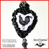 Black Rooster, Magic Talisman Bird Amulet, Witchcraft Vitriol Symbol Pendant, Gothic Occult Esoteric Jewelry